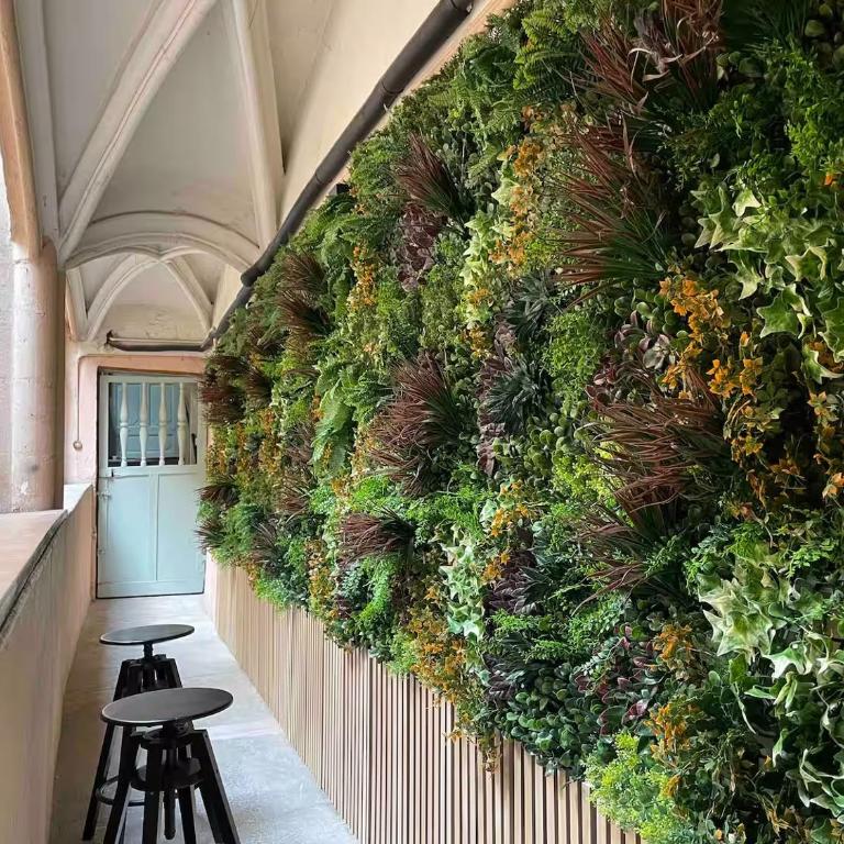Rue Mercière, Terrasse, Hypercentre, Lyon - Appartement 1 Chambre - 6