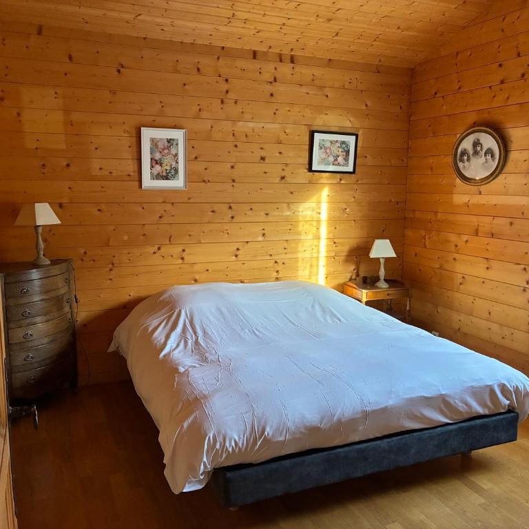 Chalet familial Gerardmer centre - salle de jeu - piscine partagée - Chalet - 42