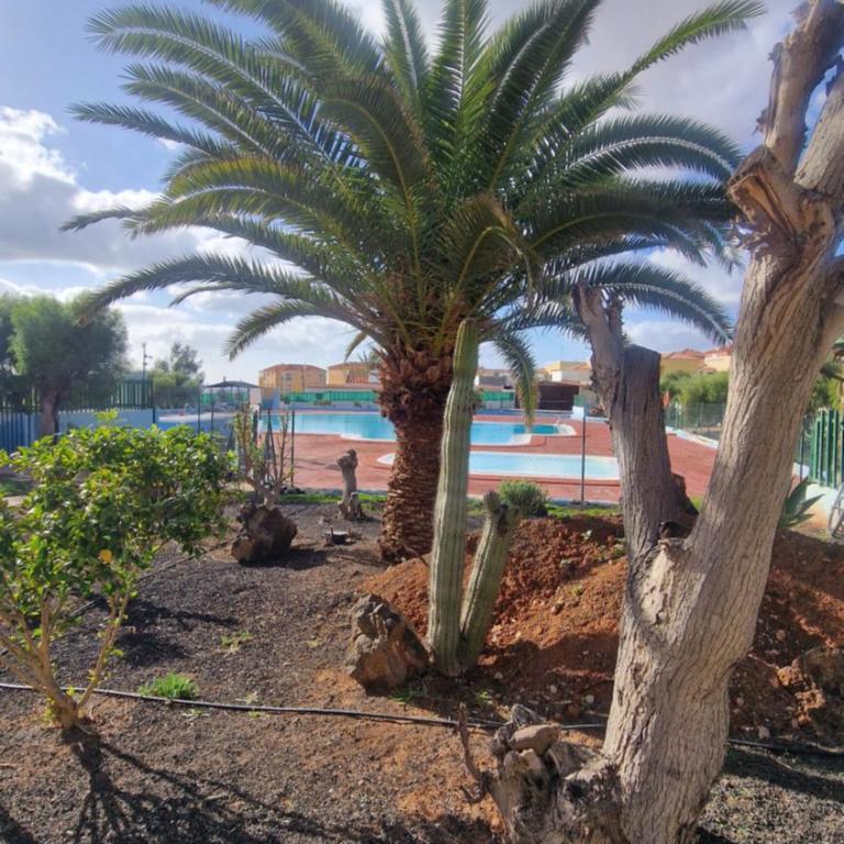 Wind House - Apartamento de 1 dormitorio - 24