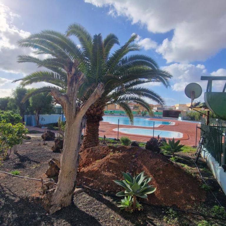 Wind House - Apartamento de 1 dormitorio - 23