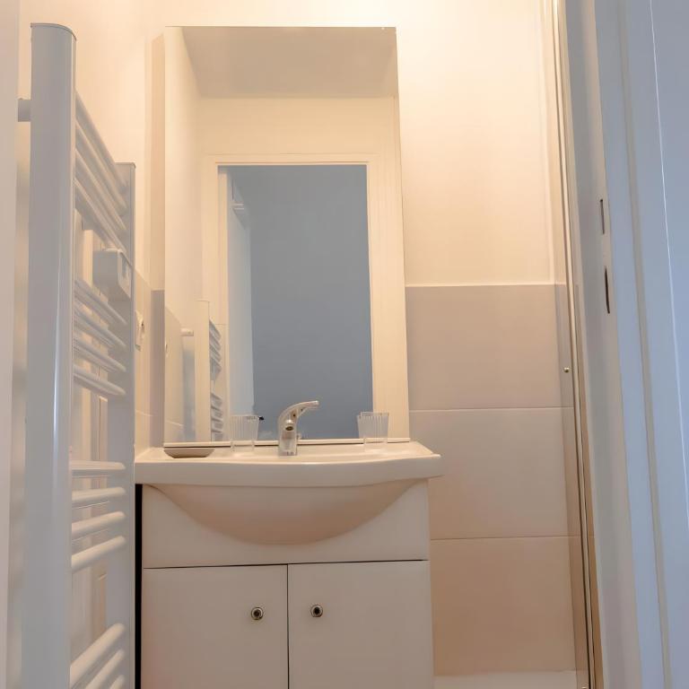 Bel appartement avec jardin privé - Reims Centre - Appartamento con 1 Camera da Letto - 12