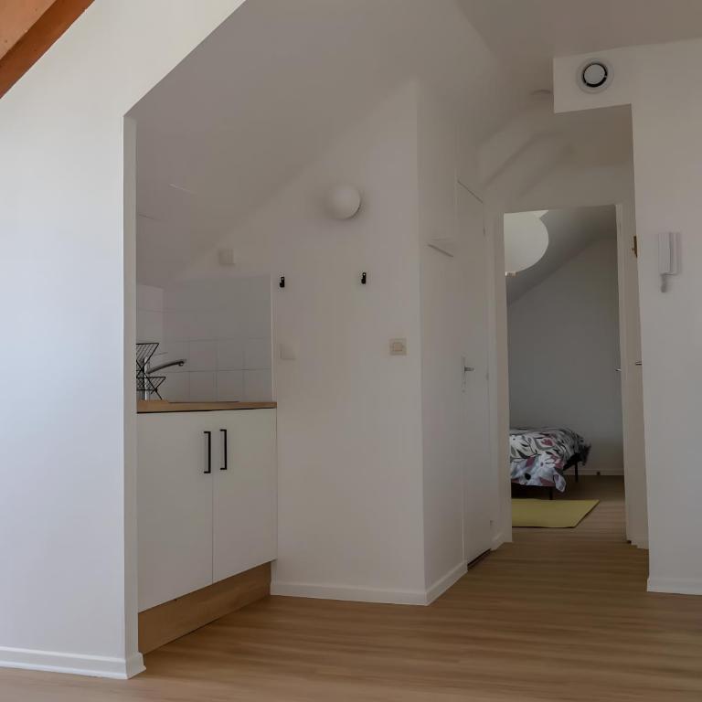 Bel appartement avec jardin privé - Reims Centre - Appartamento con 1 Camera da Letto - 8