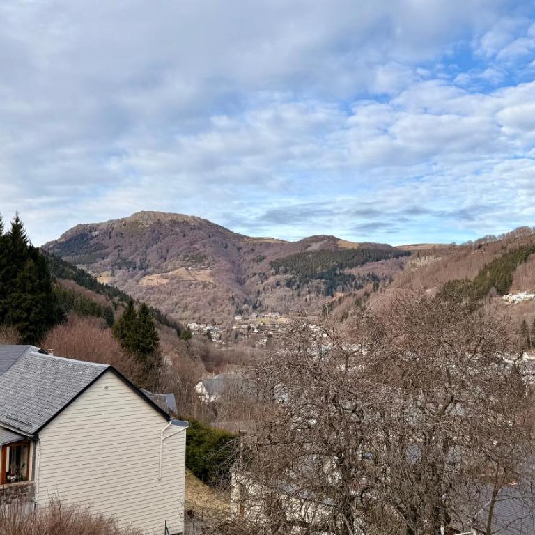 Le Capucine Le Mont-Dore - Appartamento con 2 Camere da Letto - 27