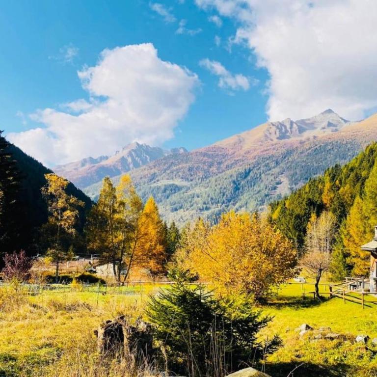 Chalet Les Combes - Appartamento - 39