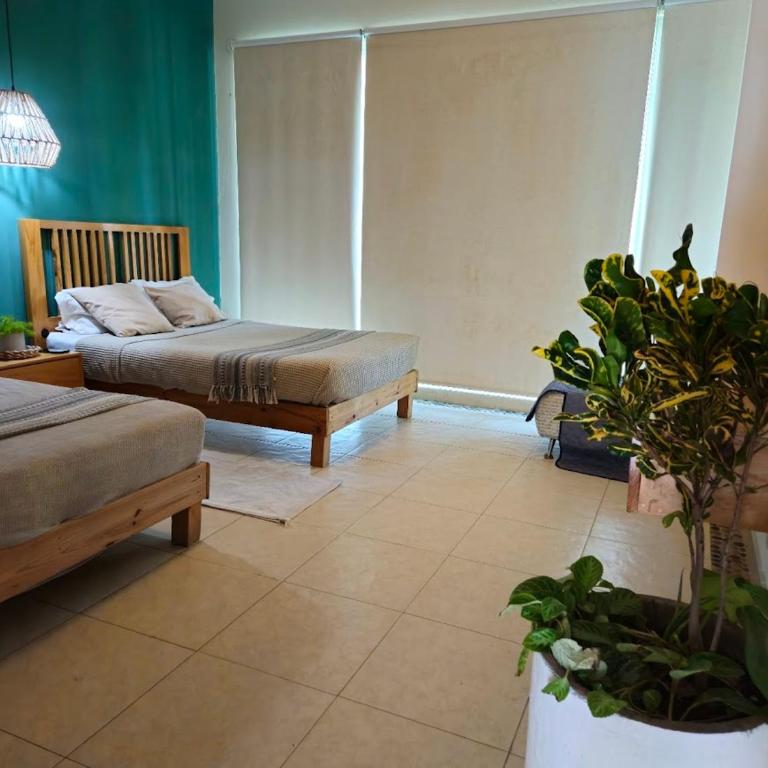 Mar y Lago 203 - Apartamento - 17