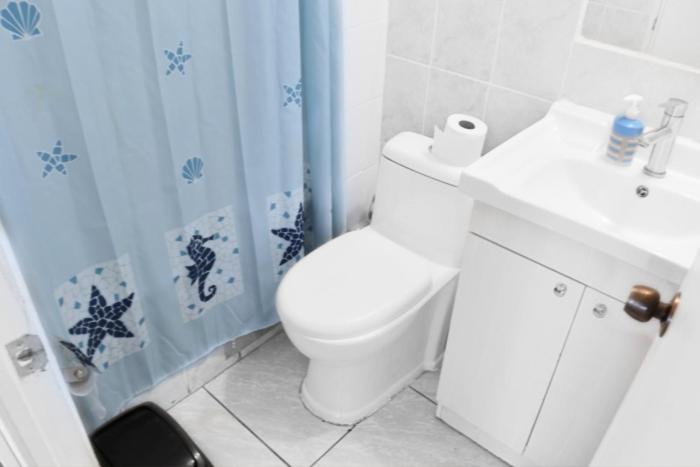 Espectacular departamento en el centro de santiago - Two-Bedroom Apartment - 6