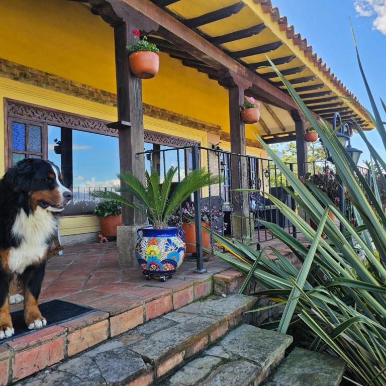La Primavera, casas campestres para familias, paisajes, tranquilidad, cerca al pueblo - Casa Margarita - 25