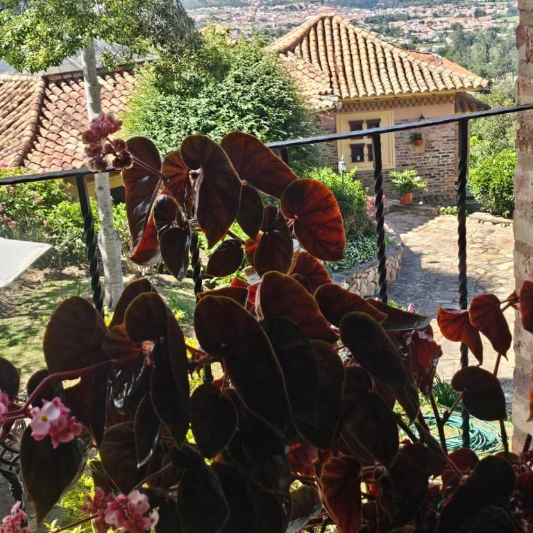 La Primavera, casas campestres para familias, paisajes, tranquilidad, cerca al pueblo - Casa Margarita - 20