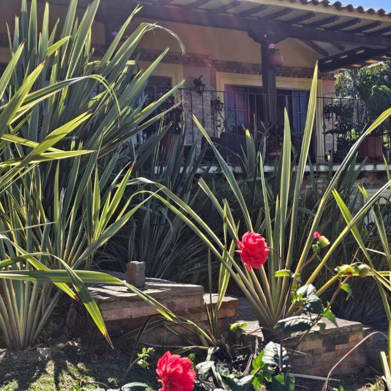 La Primavera, casas campestres para familias, paisajes, tranquilidad, cerca al pueblo - Casa Margarita - 24