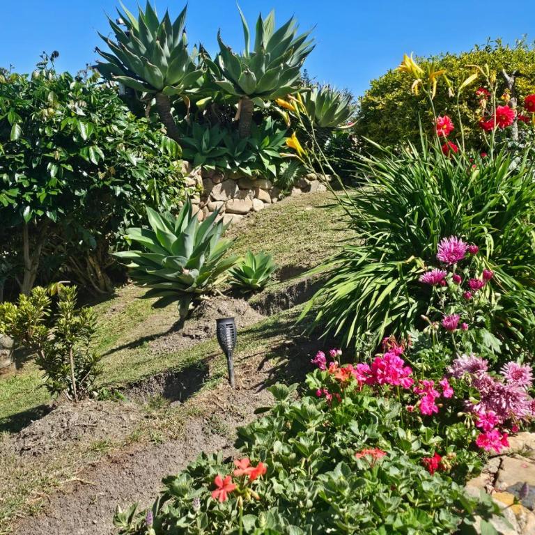 La Primavera, casas campestres para familias, paisajes, tranquilidad, cerca al pueblo - Casa Margarita - 22
