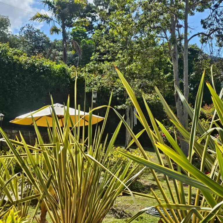 La Primavera, casas campestres para familias, paisajes, tranquilidad, cerca al pueblo - Casa Margarita - 21
