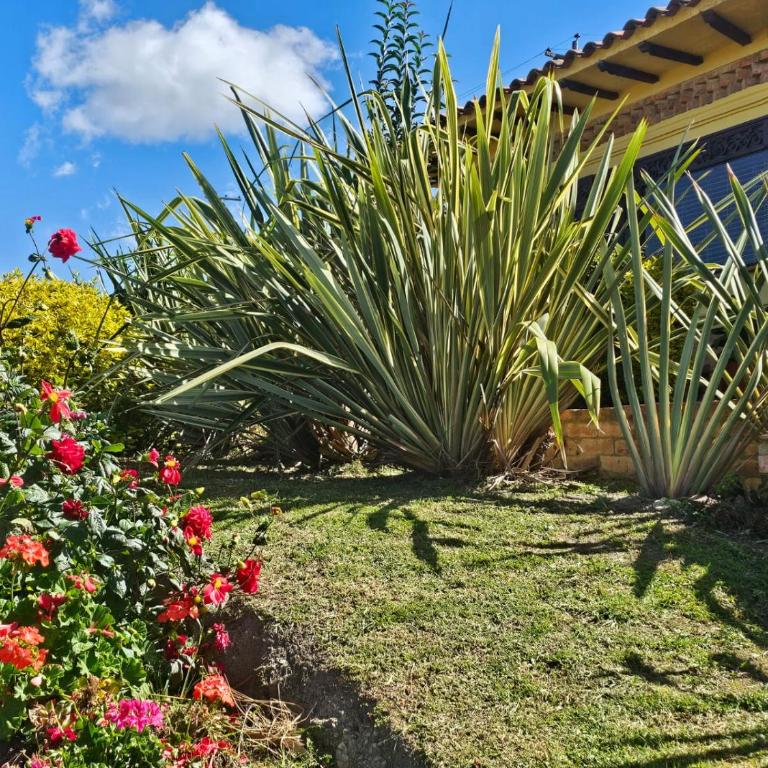 La Primavera, casas campestres para familias, paisajes, tranquilidad, cerca al pueblo - Casa Margarita - 6