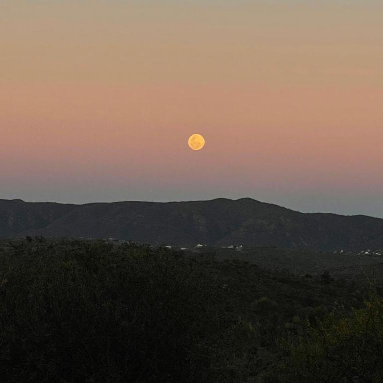 Angel Alpino Cabin - Casa de 2 dormitorios - 27
