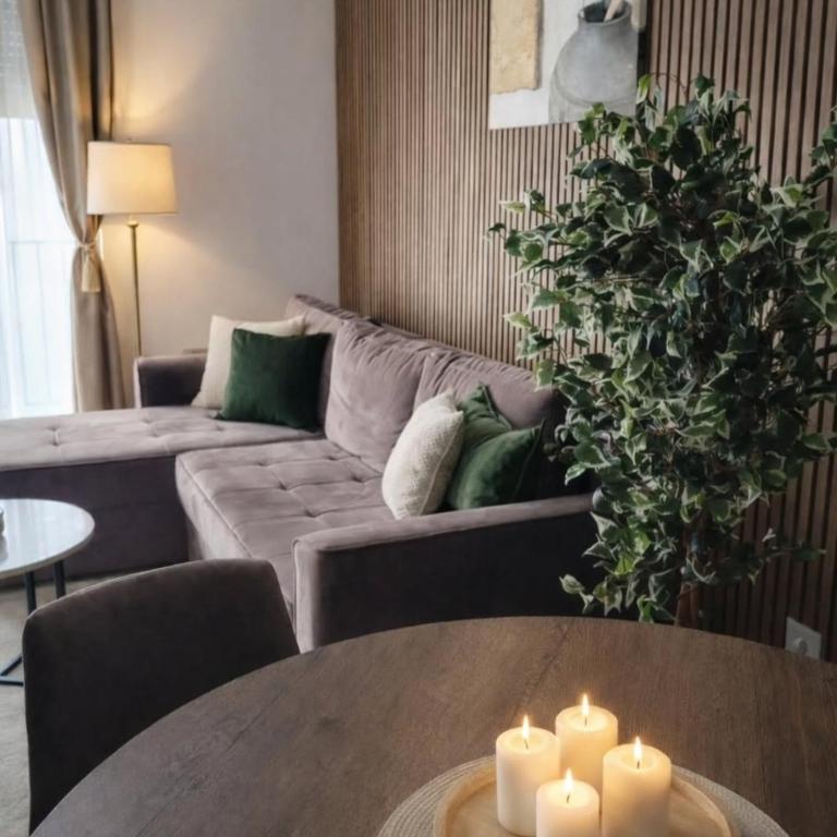 Apartman SAN Titova vila - One-Bedroom Apartment - 2