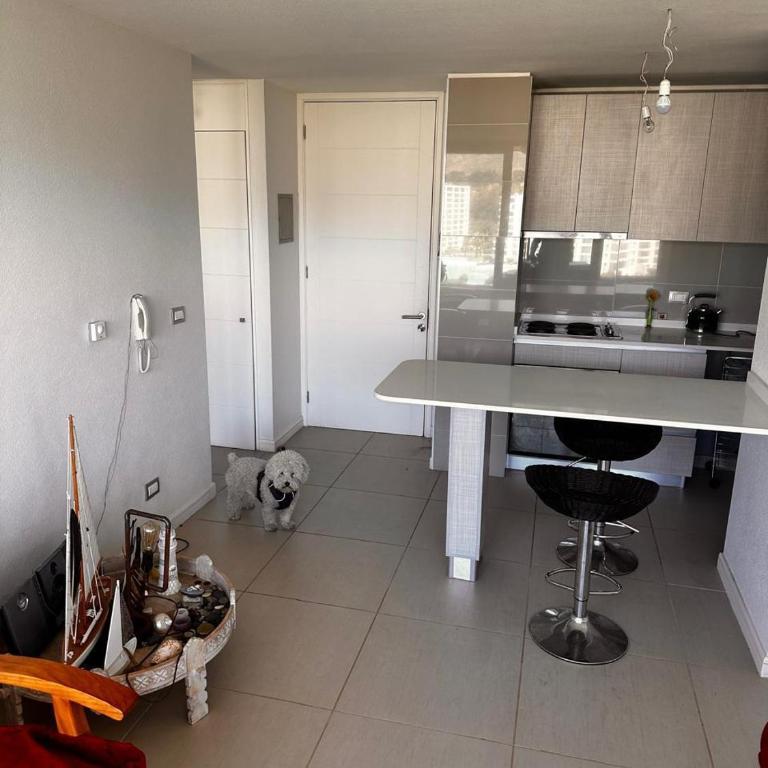 Arriendo Departamento Papudo - Two-Bedroom Apartment - 4
