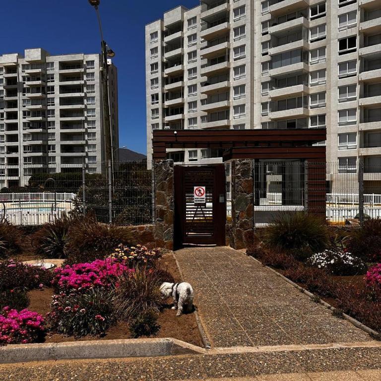 Arriendo Departamento Papudo - Two-Bedroom Apartment - 11
