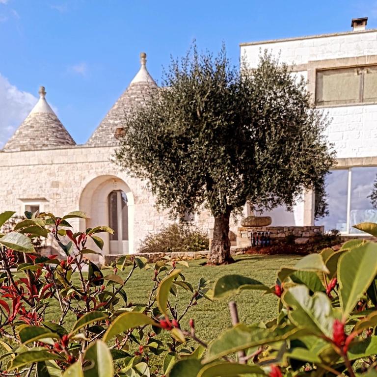 Trulli Abate Mauro - Casa con 2 Camere da Letto - 1