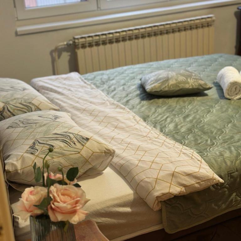 Stan na dan Sana - Apartman sa 1 Spavaćom Sobom - 4