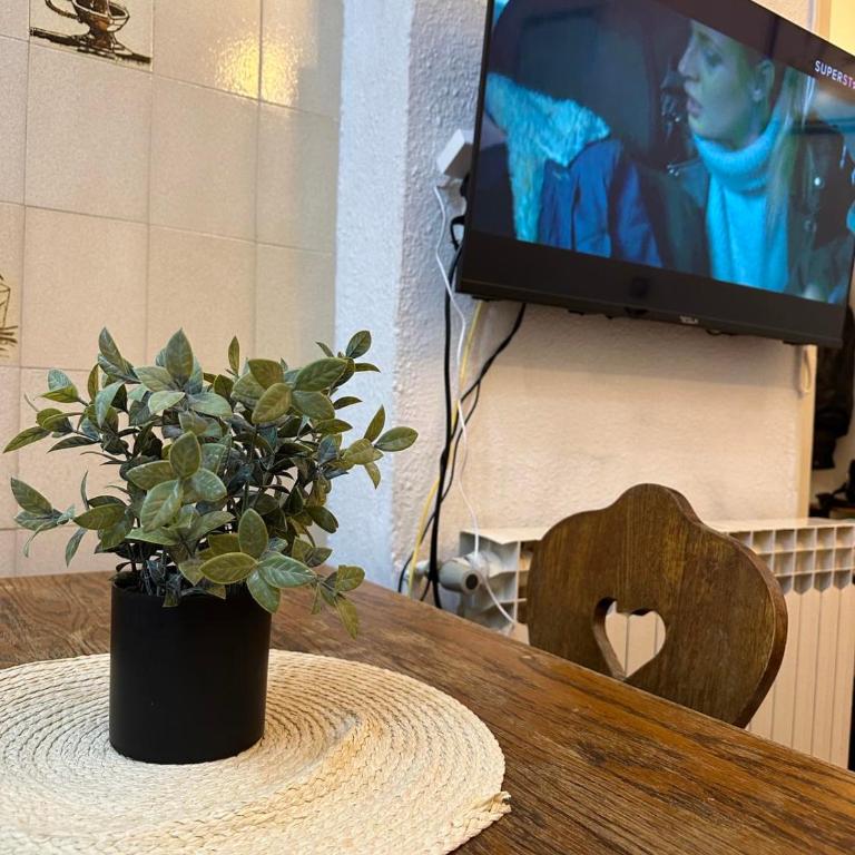 Stan na dan Sana - Apartman sa 1 Spavaćom Sobom - 5