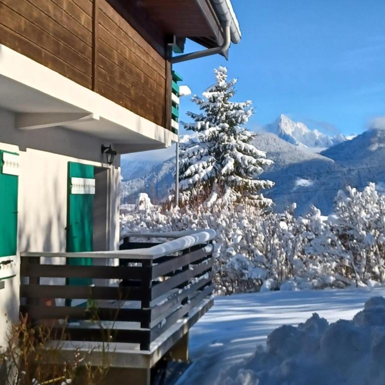 Chalet Mireneige, charme et confort face au Mont Blanc - Chalet - 18