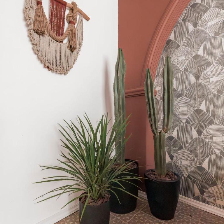 Lofts Álvaro Obregón - Suite - 10