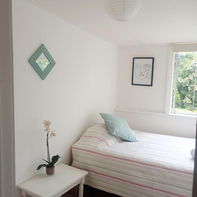 Habitaciones Punto Medio 1 - Single Room with Garden View - 2