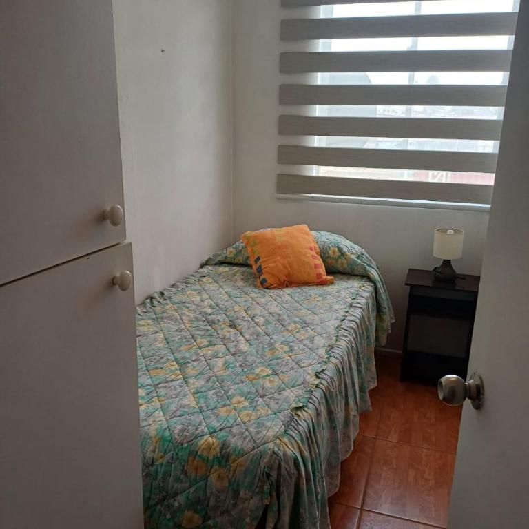Arriendo Departamento Amoblado condominio Las Palmas - Three-Bedroom Apartment - 15
