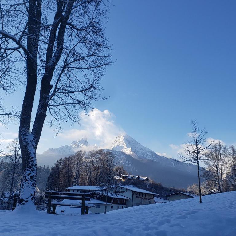 Königliche Villa - Watzmannblick - nahe Zentrum und Bahnhof - Apartment mit 1 Schlafzimmer - 5