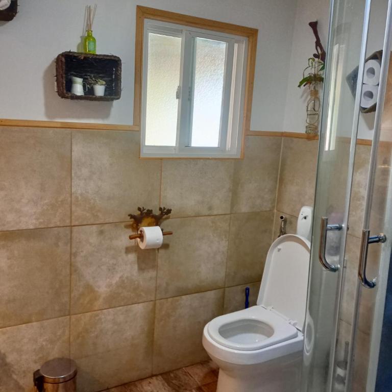 Habitaciones Punto Medio 1 - Single Room with Garden View - 4
