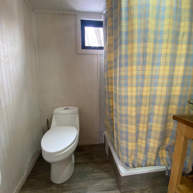 Tiny House en Malalcahuello - Tranquilidad total - One-Bedroom House - 9
