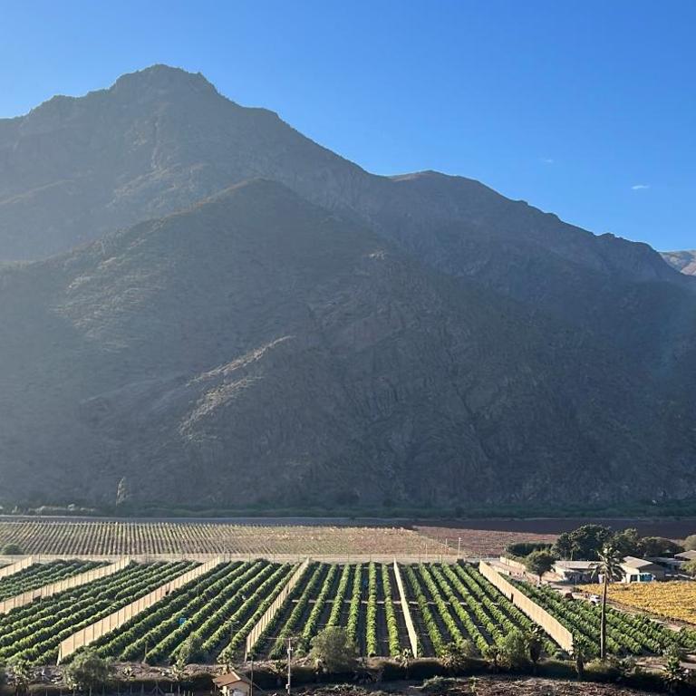 Elqui Valley Avocado Farm - Two-Bedroom House - 1