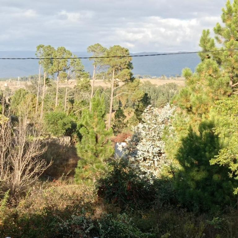 Terrazas de Yacanto - One-Bedroom House - 71