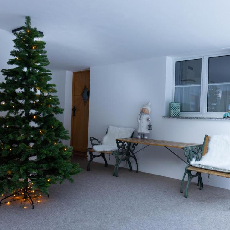 Casa Carinthia - Apartment mit Terrasse - 12