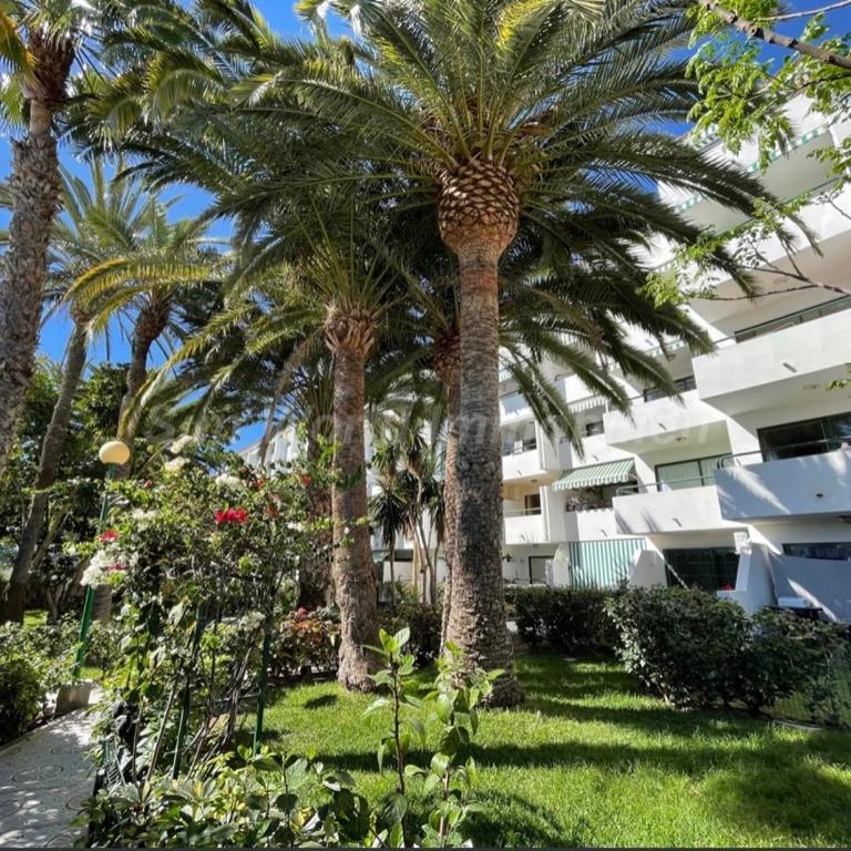 Apartment Palm Tree View - Apartamento de 1 dormitorio - 35