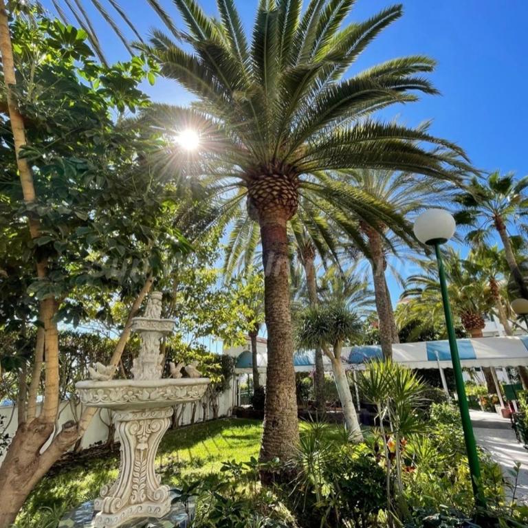Apartment Palm Tree View - Apartamento de 1 dormitorio - 34
