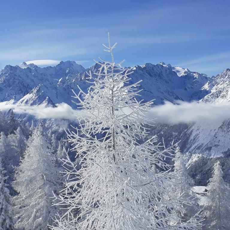Mountain Studio La Tzoumaz Verbier Skiing - Apartment mit 1 Schlafzimmer - 3
