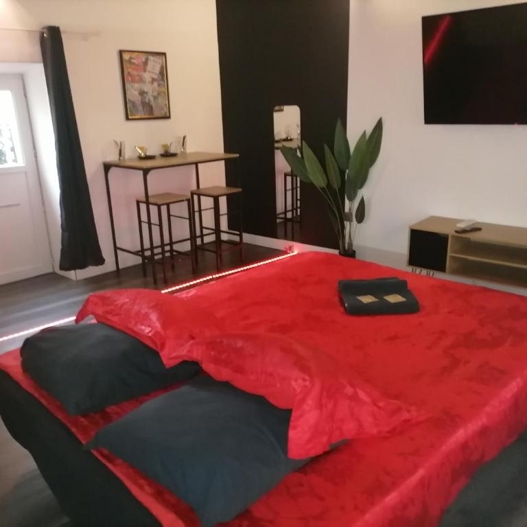 Moderne Jacuzzi Terrasse - Appartement 1 Chambre - 17