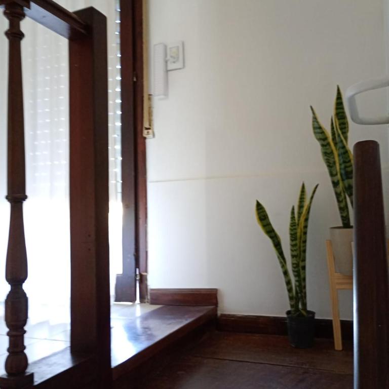 Oro y Miel en pleno centro de Chascomús - Apartamento de 2 dormitorios - 23