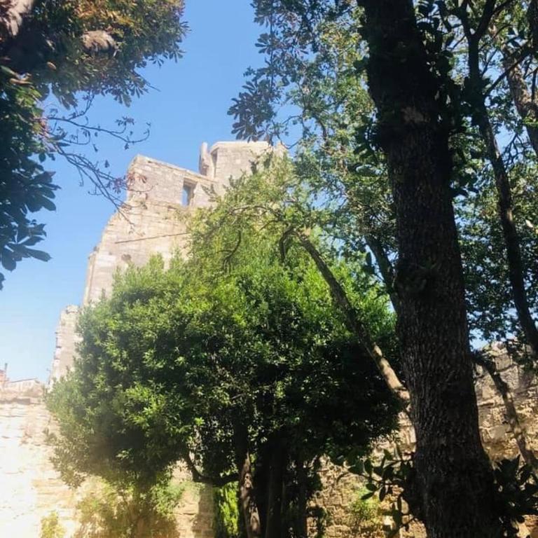 Chez Delph Studio independant a Uzes Secteur Haras et Bowling parking privé et gratuit - Appartement 1 Chambre - 17