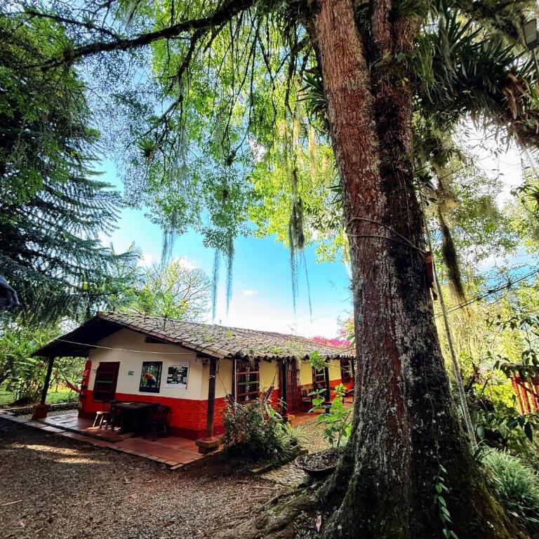 Casa y cabaña campestres, 14 personas, vocación familiar y descanso - Five-Bedroom House - 8