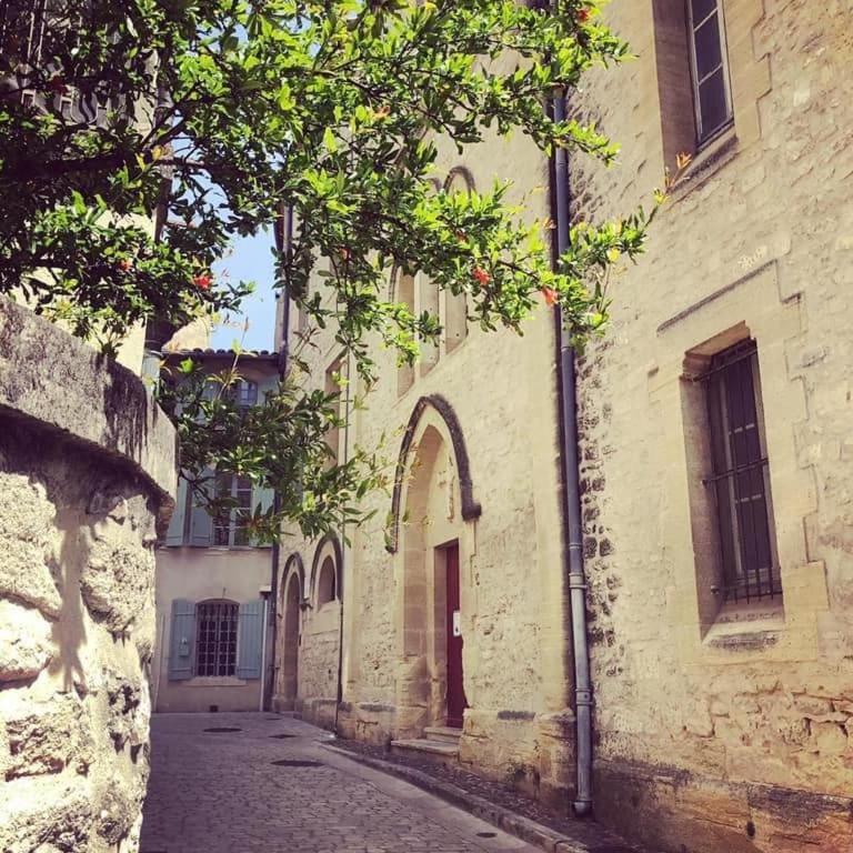 Chez Delph Studio independant a Uzes Secteur Haras et Bowling parking privé et gratuit - Appartement 1 Chambre - 19