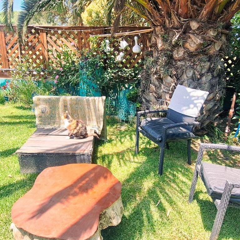 Los Colibríes- Monoambiente - One-Bedroom Apartment - 17