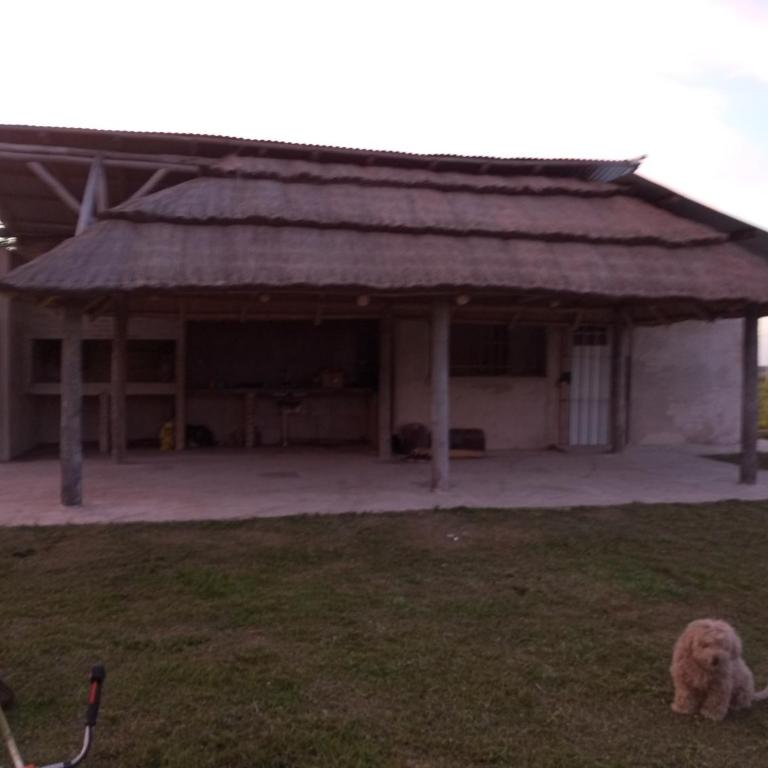 Cabaña don Cencio - One-Bedroom Chalet - 22