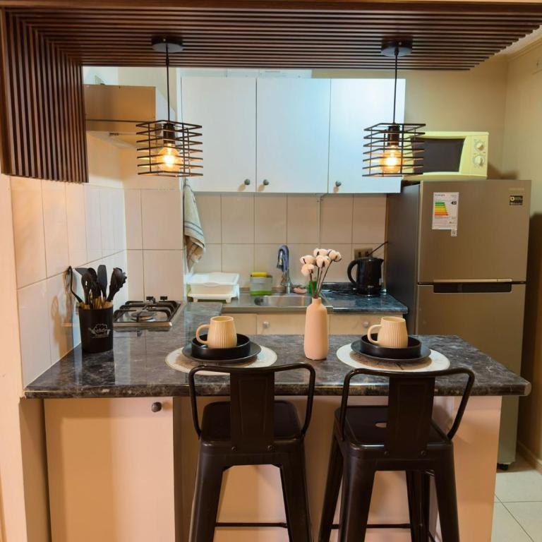 Stay Teatinos Santiago - Deluxe One-Bedroom Apartment with Garden View - 9