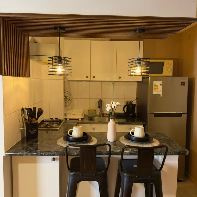 Stay Teatinos Santiago - Deluxe One-Bedroom Apartment with Garden View - 10