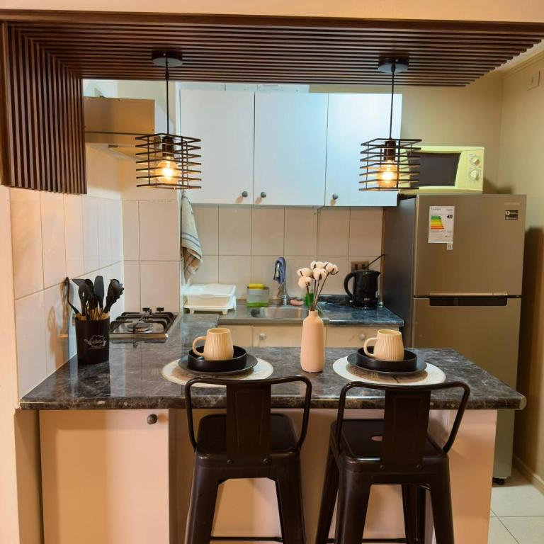 Stay Teatinos Santiago - Deluxe One-Bedroom Apartment with Garden View - 11