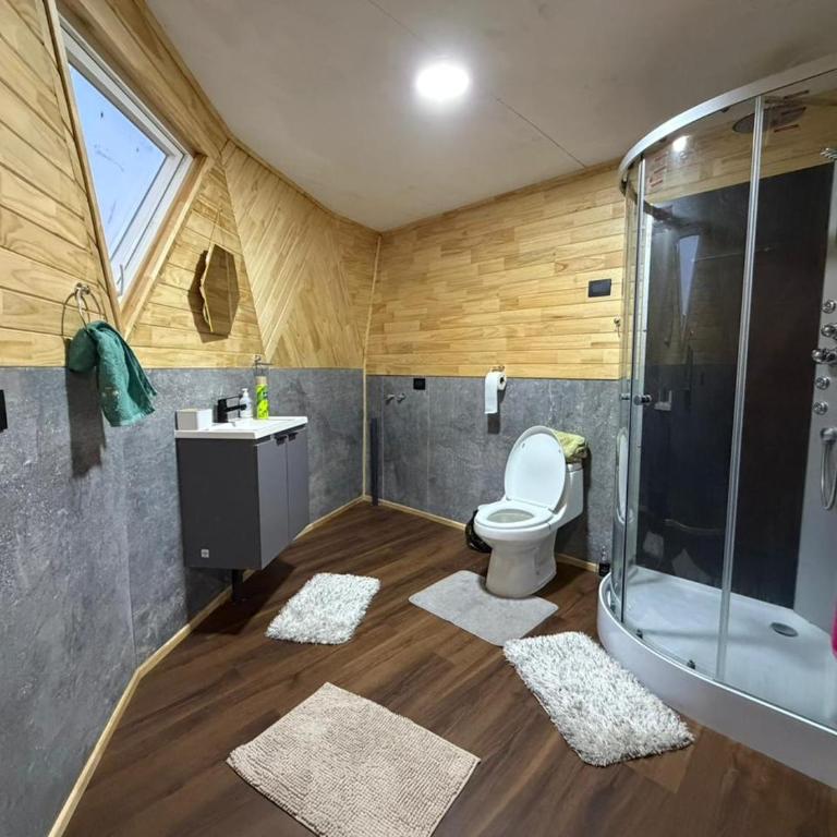 Domo loft Puacura Castro- Dalcahue - Two-Bedroom House - 6