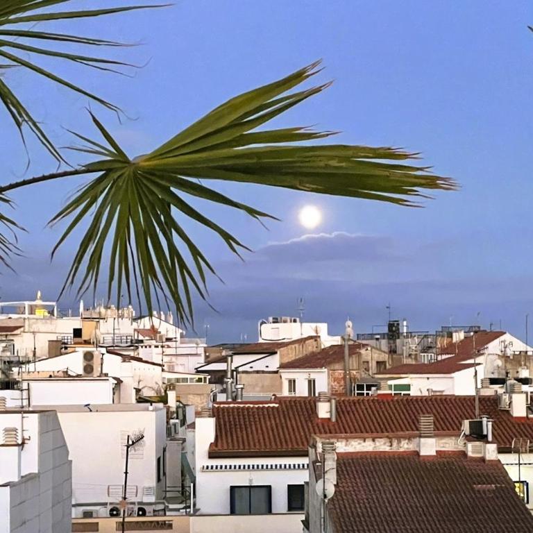 Attic Center Sitges - Apartamento de 3 dormitorios - 6