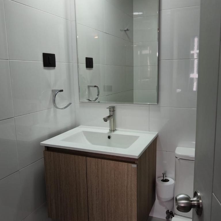 2 La Moneda a 2 pasos - One-Bedroom Apartment - 4
