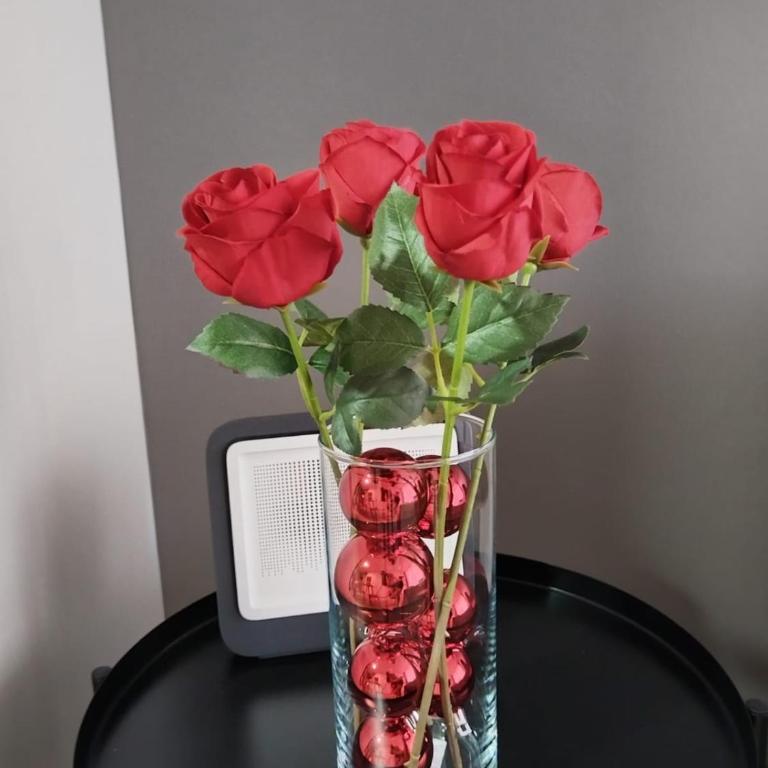 2 La Moneda a 2 pasos - Apartamento de 1 dormitorio - 28